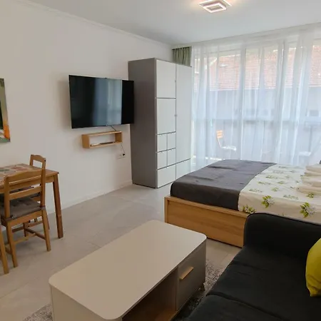 Daire Olive Sea And Luxury 2 2 Burgaz